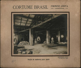 Secção de tambores para curtir