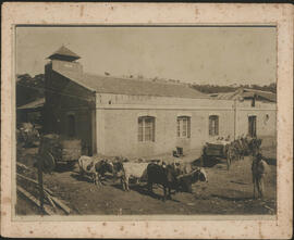 [Recepção do algodão]